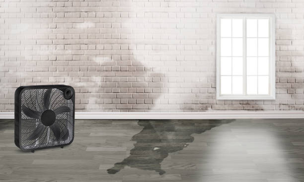 Best Water damage restoration near me  in North Laurel, MD