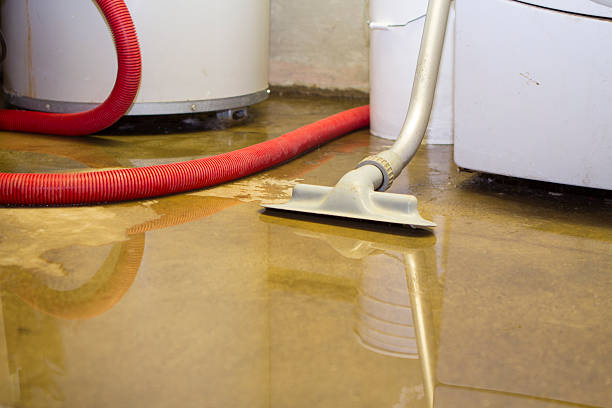 Best Local water damage restoration  in North Laurel, MD