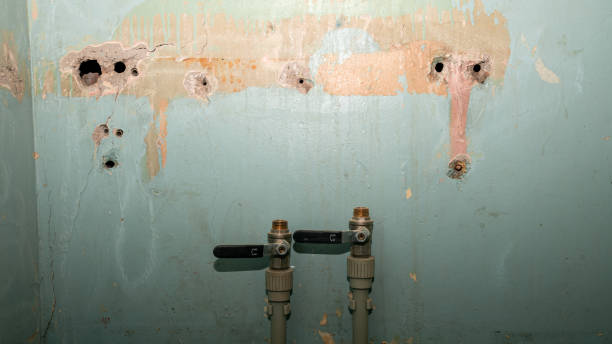 Best Sewage cleanup and water damage restoration  in North Laurel, MD