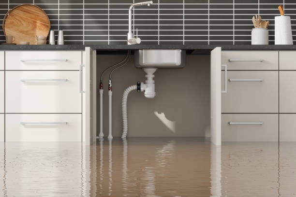 Best 24-hour water damage restoration  in North Laurel, MD