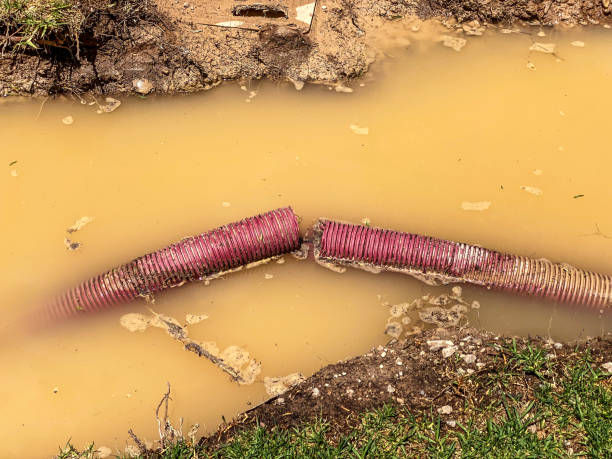 Best Water damage cleanup near me  in North Laurel, MD